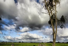 西班牙人队近期有哪些关键动态？阵容、赛事与引援都有新变化？