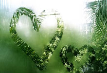 欧冠ds足球是什么？它能为球迷带来哪些独特体验？